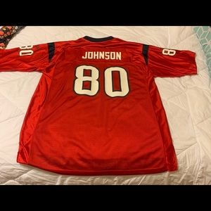 Houston Texans Andre Johnson #80 football jersey